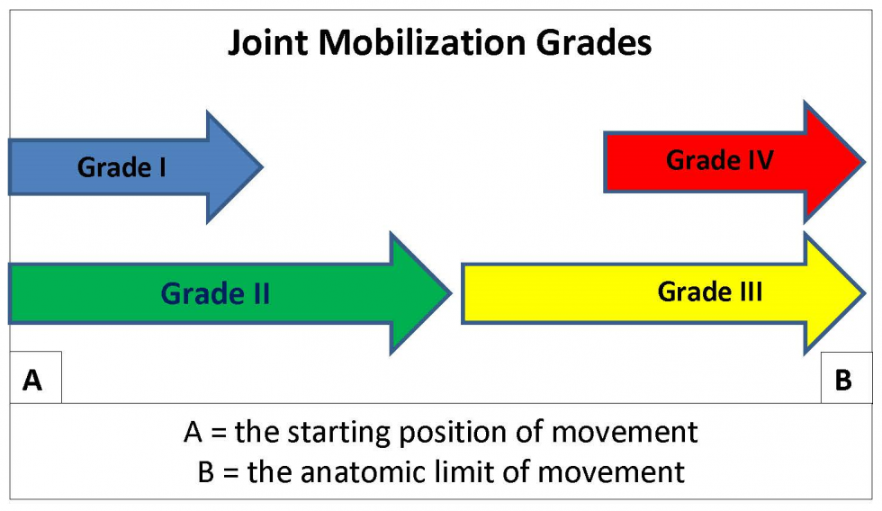 Joint Mobilizations