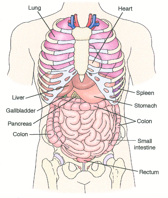 Visceral Screening:  An Important Aspect of Direct Access